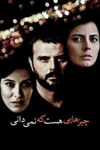 چیزهایی هست که نمی‌دانی (2010)