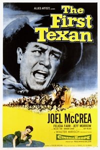 Poster de The First Texan