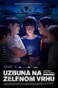 Uzbuna na Zelenom Vrhu (2017)