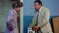 Обои к фильму «Те, кого ищут (1972)» — (31 из 35)