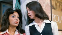 Обои к фильму «Люби или брось (1977)» — (19 из 32)