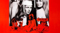 «Студентки-практикантки (1973)» — обои к фильму #1