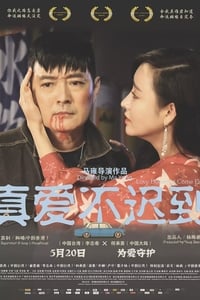 真爱不迟到 (2019)