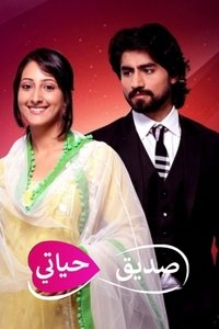copertina serie tv Humsafars 2014