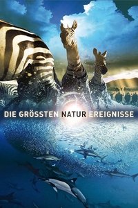 Movieposter Die größten Naturereignisse