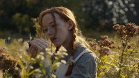 «Энн (2017 - 2019)» — обои к сериалу #3