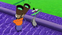 Bugball