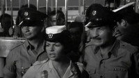 «Эрвинка (1967)» — обои к фильму #1