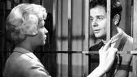 «Розы для господина прокурора (1959)» — обои к фильму #9