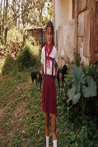 Imagem do Filme True Love in Pueblo Textil