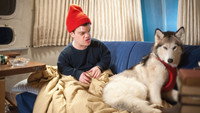 «An Insignificant Harvey (2011)» — обои к фильму #1