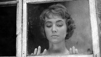 «Никто не зовет (1960)» — обои к фильму #7