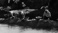 «Aldeia da Roupa Branca (1939)» — обои к фильму #2