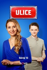 Season 13 Poster