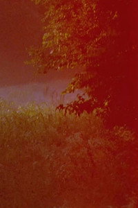 Bardo Landscape (2020) poster
