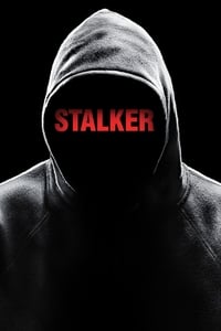 copertina serie tv Stalker 2014