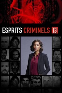 Saison 13
