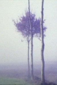 Постер фильма «À l'instant (2008)» — (2 из 2)