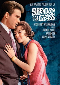 Постер фильма «Великолепие в траве (1961)» — (20 из 32)
