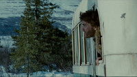 Into the Wild