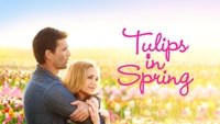 Tulips in Spring