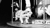 «Карусель (1981)» — обои к мультфильму #1