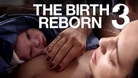 The Birth Reborn 3