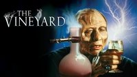 The Vineyard