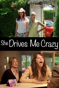 Poster de She Drives Me Crazy