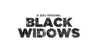 «Чёрные вдовы (2020)» — обои к сериалу #1
