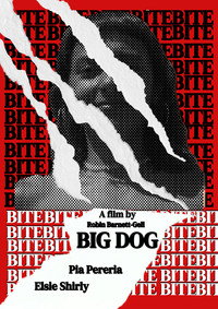 Big Dog