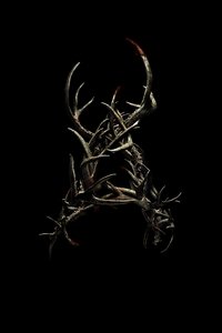 movie-images
