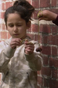 Imagem do Filme Children’s Game #46: Conkers