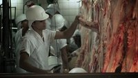 H.O.P.E.: What You Eat Matters