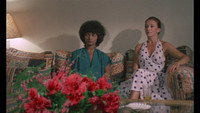 Обои к фильму «Чёрный оргазм (1980)» — (14 из 31)