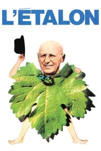movie-images