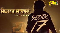 Sector 17