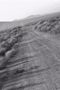 Imagem do Filme Facts on the Polywave