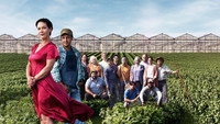 «Le temps des framboises (2022)» — обои к сериалу #1