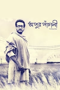 Apur Panchali (2014)