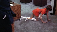 «Голая обезьяна (1973)» — обои к фильму #1