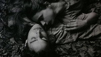 «Хрупкое, как мир (2001)» — обои к фильму #9