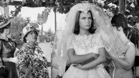Обои к фильму «Сбежавшая невеста (1962)» — (29 из 40)