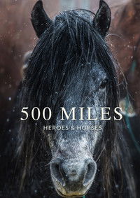 poster_500 Miles - The Story of Ranchers and Horses