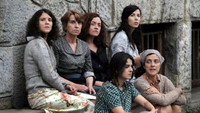 «Звёзды, на которые загадывают желания (2010)» — обои к фильму #2