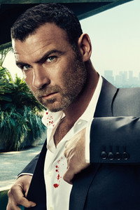Постер сериала «Рэй Донован (2013-2020)» — (10 из 55)