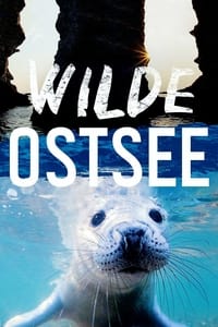 tv show poster Wild+Baltic+Sea 2017