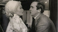 «Красота джунглей (1964)» — обои к фильму #1