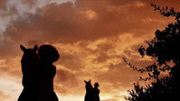«Ковбойши против птеродактилей (2021)» — обои к фильму #7