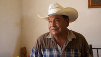 «Cowboys Without Borders (2020)» — обои к фильму #4